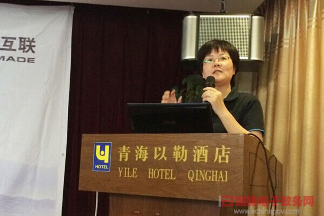 摩域体育互联总经理、首席规划师郑爱军正在进行《政府网站+评估体系构建思路》的主题演讲
